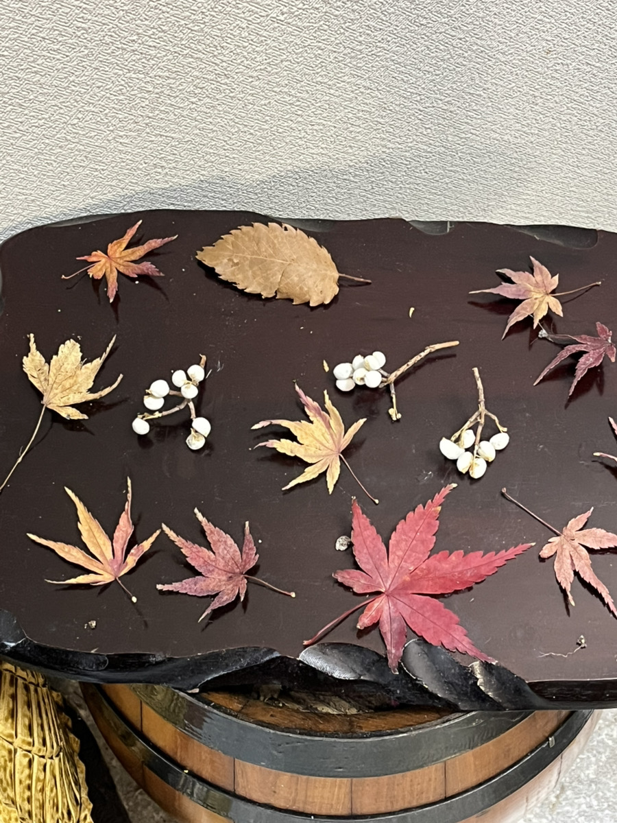 日常の中にある、やさしいリハビリの風景